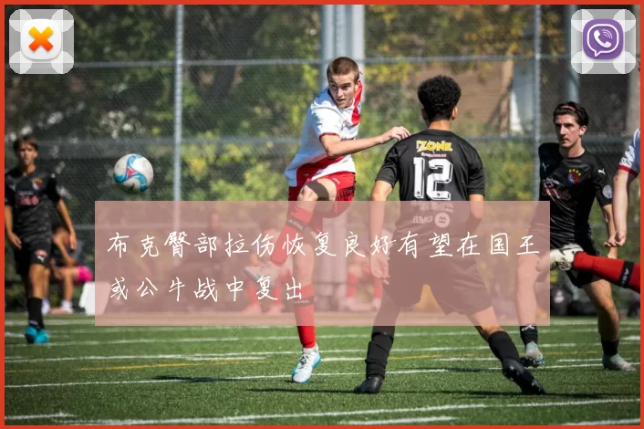 布克臀部拉伤恢复良好有望在国王或公牛战中复出